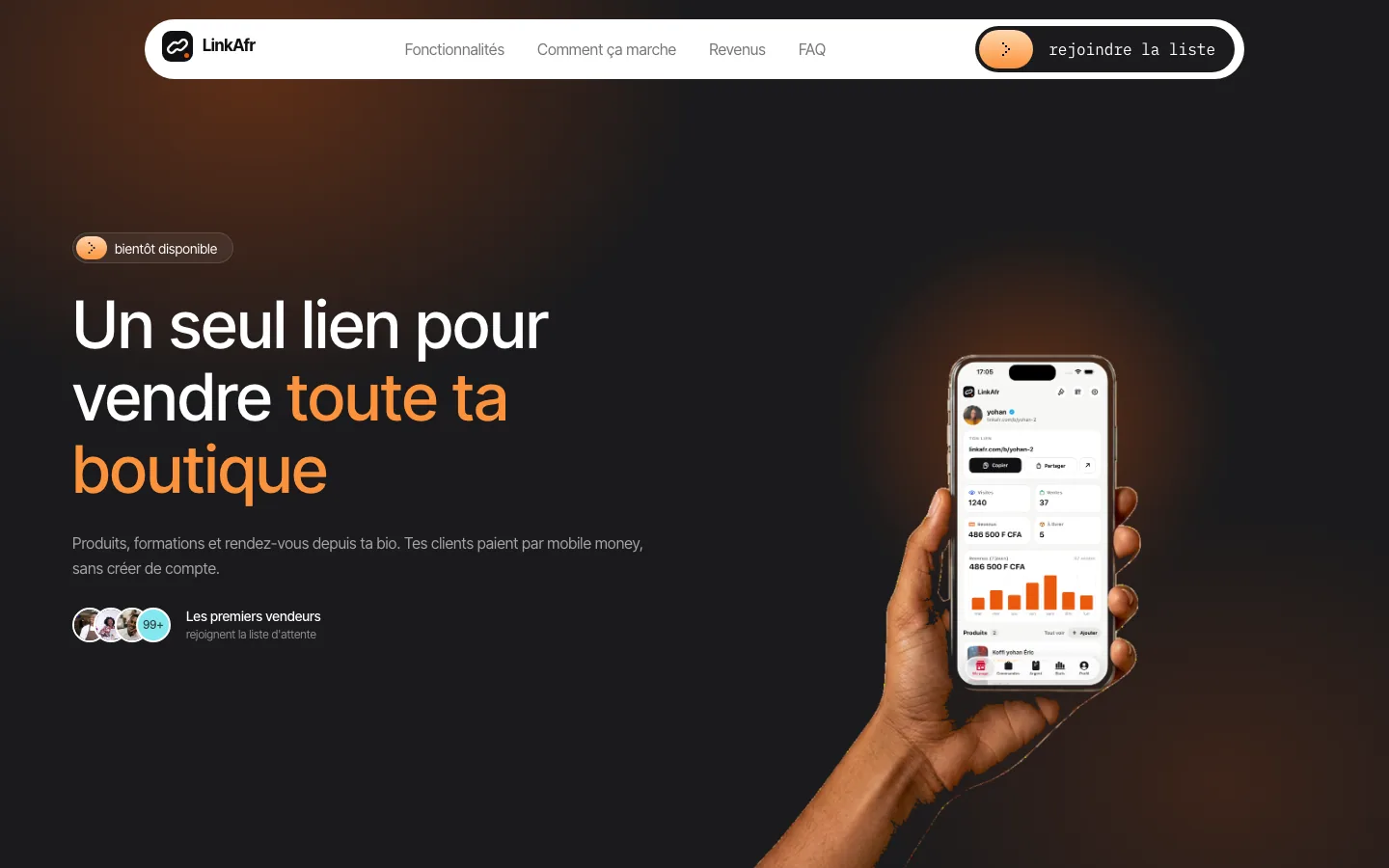 Page d'accueil de LinkAfr